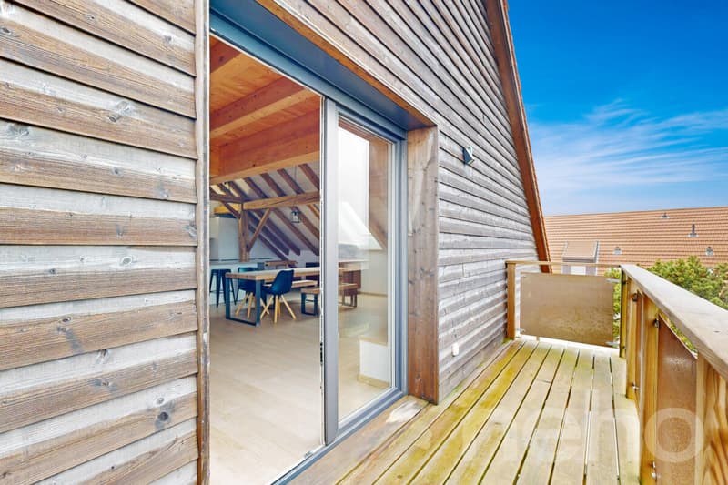 Magnifique appartement rénové dans une ancienne ferme (9)