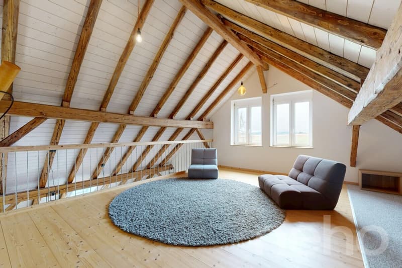 Magnifique appartement rénové dans une ancienne ferme (12)