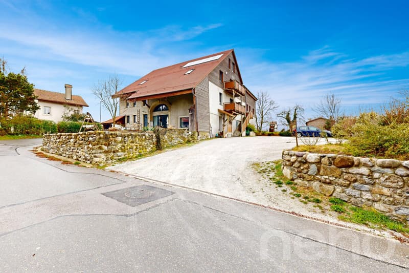 Magnifique appartement rénové dans une ancienne ferme (10)