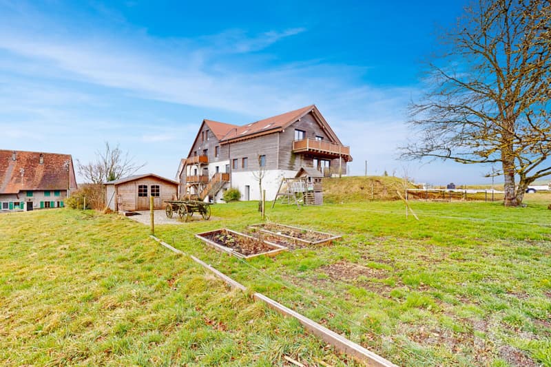 Magnifique appartement rénové dans une ancienne ferme (11)