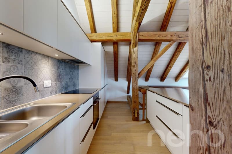 Magnifique appartement rénové dans une ancienne ferme (4)