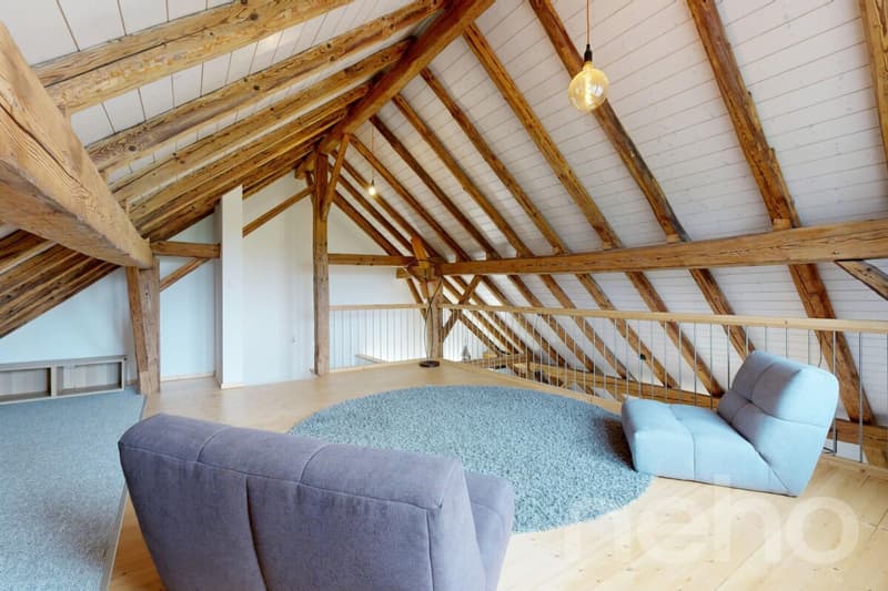 Magnifique appartement rénové dans une ancienne ferme (8)