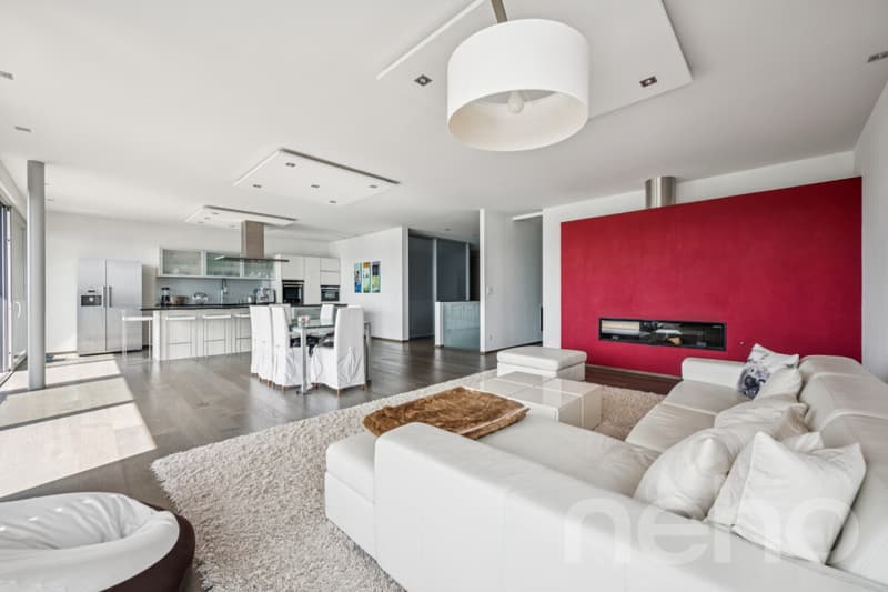 Exclusif: Villa d'architecte avec vue sur le Lac de Morat (8)