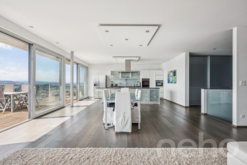 Exclusif: Villa d'architecte avec vue sur le Lac de Morat (3)