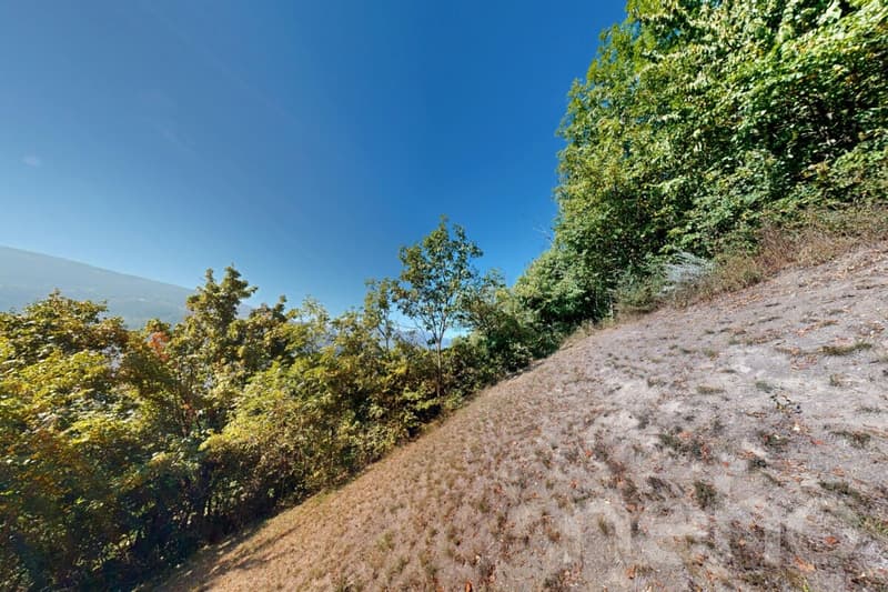 Superbe terrain constructible de 893 m² à Flanthey (Lens) (11)