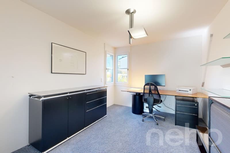Attraktive 5.5-Zimmer-Triplex-Wohnung mit privatem Garten (9)