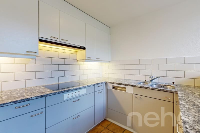 Aussergewöhnliches 5.5-Zimmer-Reihenhaus an Toplage (3)
