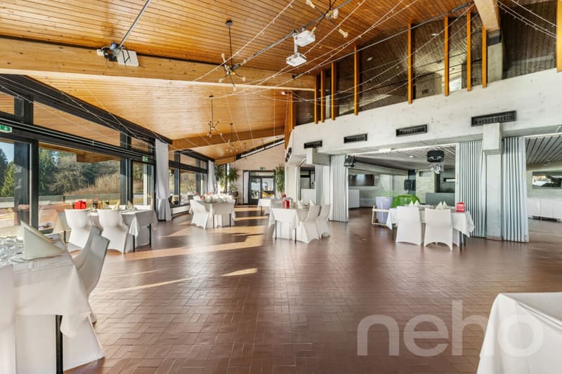 Hôtel à vendre : 26 chambres, 18'319 m² de terrain, vue sur le lac (1)