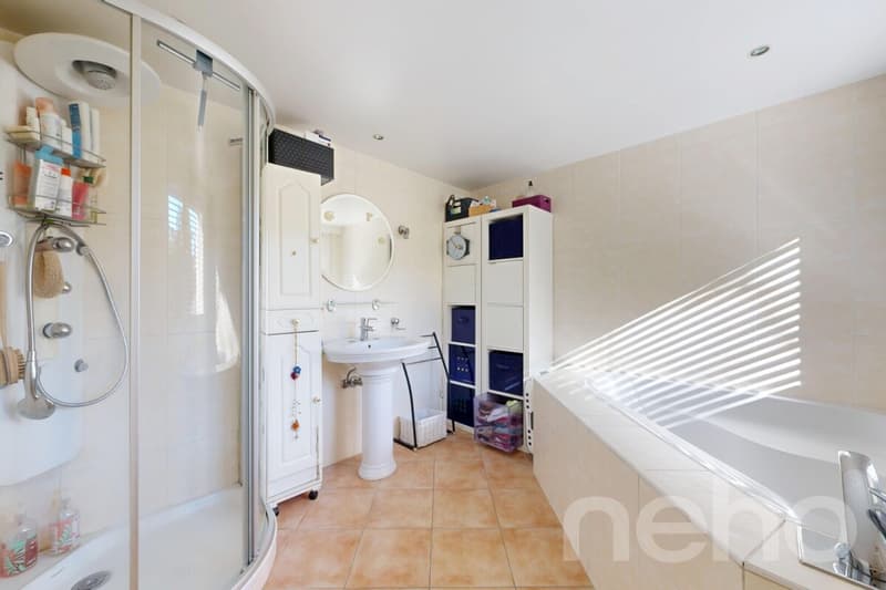 Magnifique maison 6.5 pièces sur 1'681 m² (11)