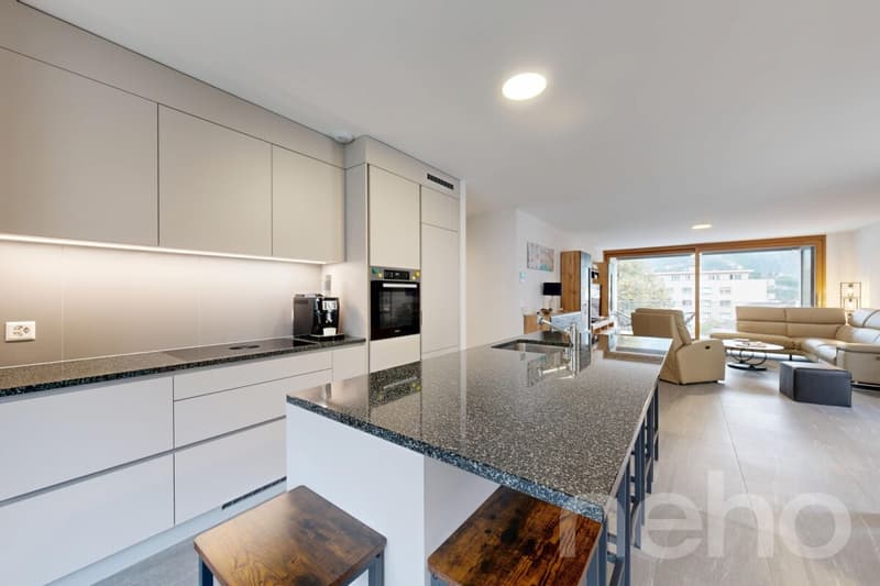 Magnifique appartement 5.5 pièces de 153 m² ? confort et efficacité (5)