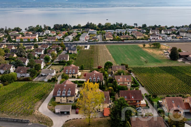 Attique lumineux en position dominante avec vue Léman-Alpes (1)