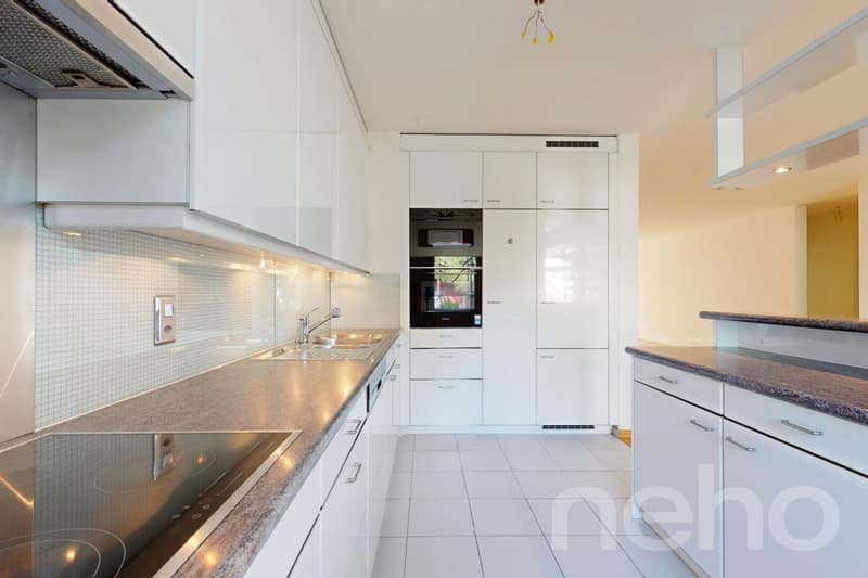 Attraktive 4.5-Zimmer-Gartenwohnung in Zürich-Seebach (3)