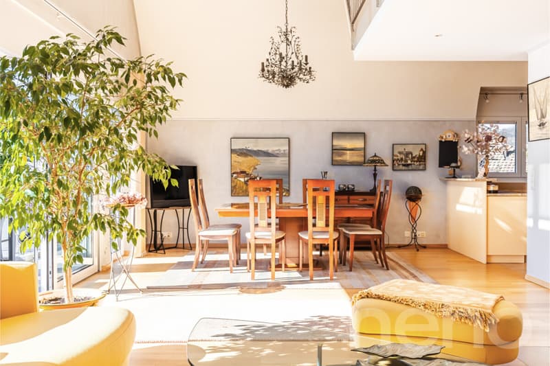 Magnifique duplex spacieux avec vue imprenable (7)