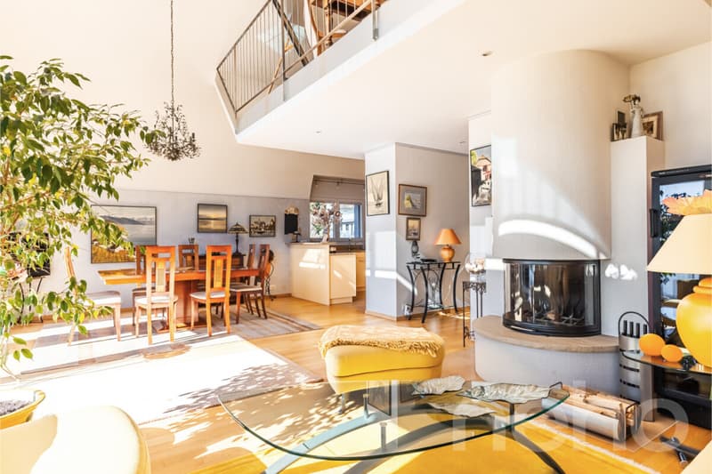 Magnifique duplex spacieux avec vue imprenable (5)