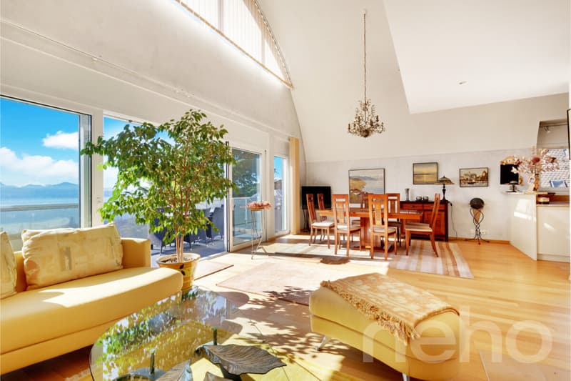 Magnifique duplex spacieux avec vue imprenable (8)
