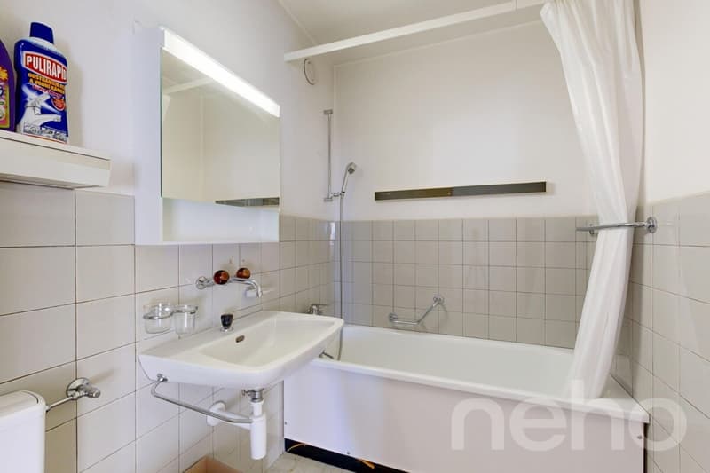 Über den Dächern von Binningen: 3.5 Zimmer Wohnung mit Weitsicht (11)