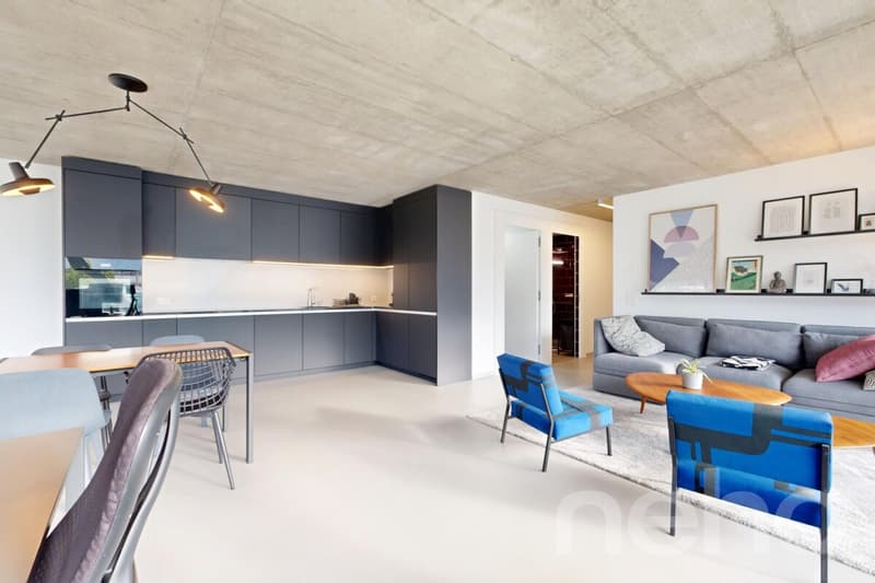 Exclusif: superbe loft avec vue panoramique (8)