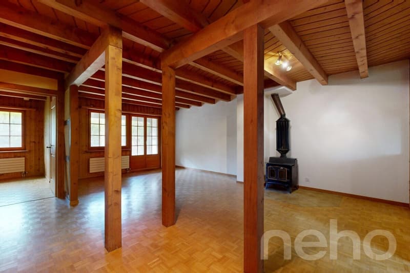 Reihenmittelhaus mit Garten und enormem Potenzial in Oetwil am See (7)
