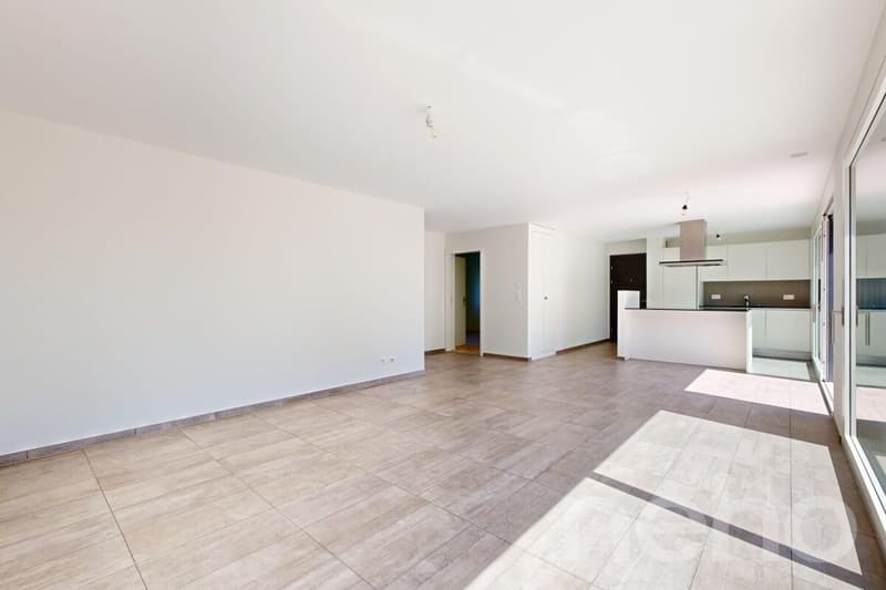 Appartement avec grand terrasse - Proche du CHUV (4)
