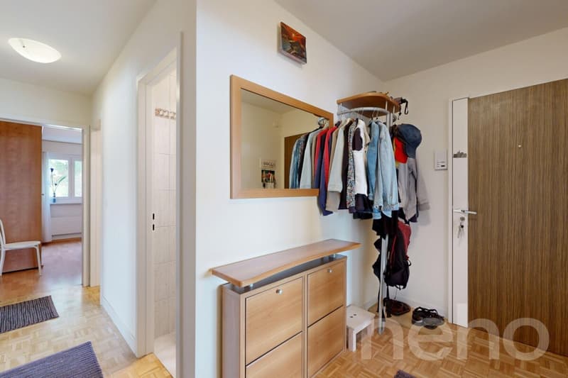 Appartement 4,5 pièces vue panoramique sur le lac (2)