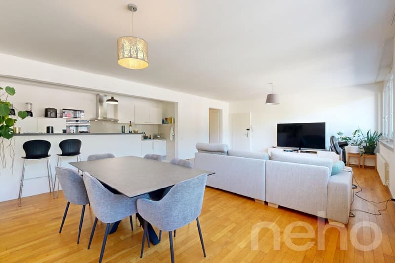 Appartement familial lumineux à deux pas de toutes les commodités (2)