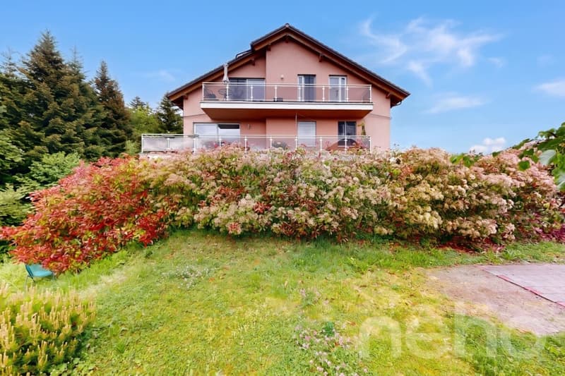 Attique contemporain traversant avec grand balcon et vue dégagée (1)