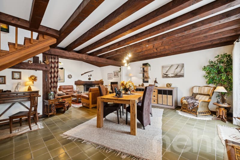 Villa 4.5 pièces de caractère, avec jardin paisible et arboré (4)
