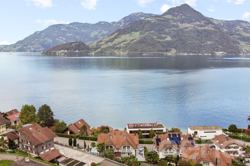 Grosszügiges Wohnen mit traumhafter Sicht auf See und Berge (2)