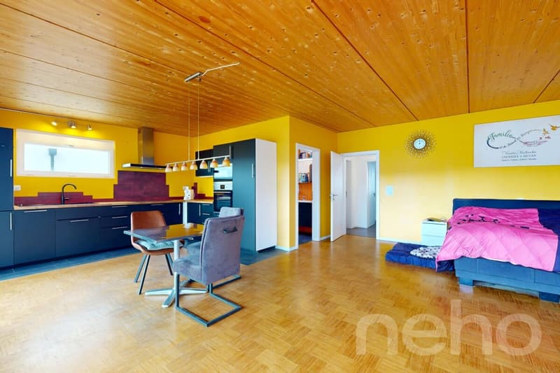 Modernes Einfamilienhaus mit Loftcharakter und grossem Garten (2)