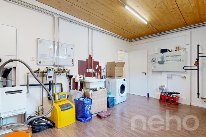 Modernes Einfamilienhaus mit Loftcharakter und grossem Garten (8)