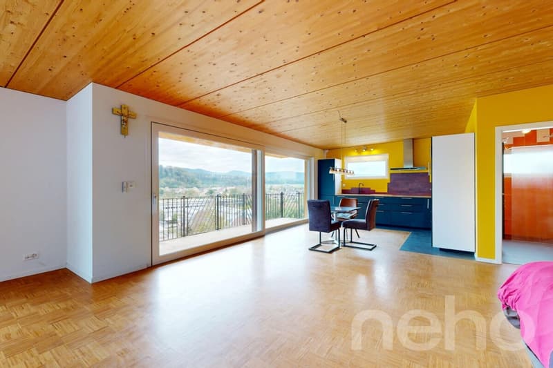 Modernes Einfamilienhaus mit Loftcharakter und grossem Garten (1)