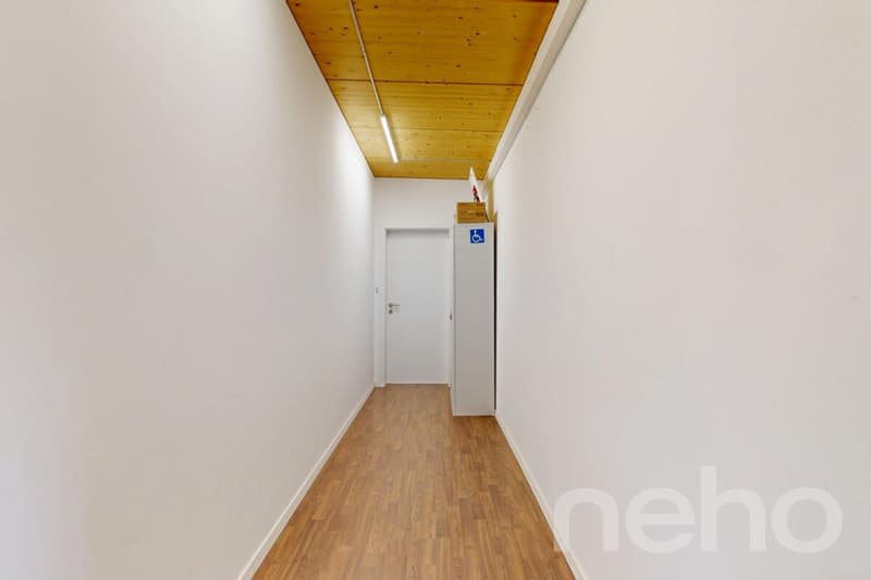 Modernes Einfamilienhaus mit Loftcharakter und grossem Garten (9)