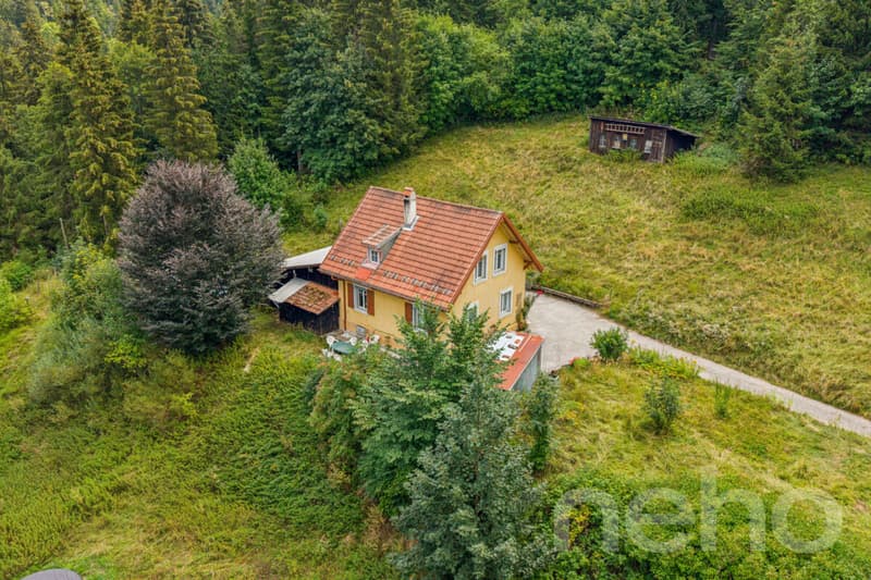 Maison à réinventer sur une parcelle de plus de 2'700 m² (3)