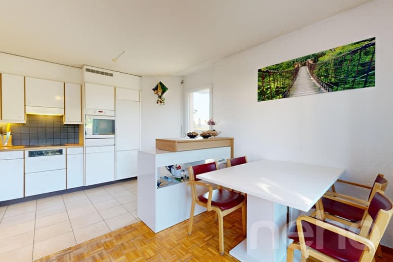 Jolie maison jumelle au calme absolu à Froideville (5)