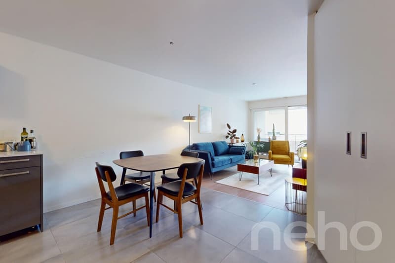 appartement contemporain proche centre-ville (1)