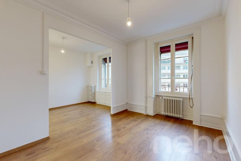 Charmant appartement à deux pas de Carouge (1)