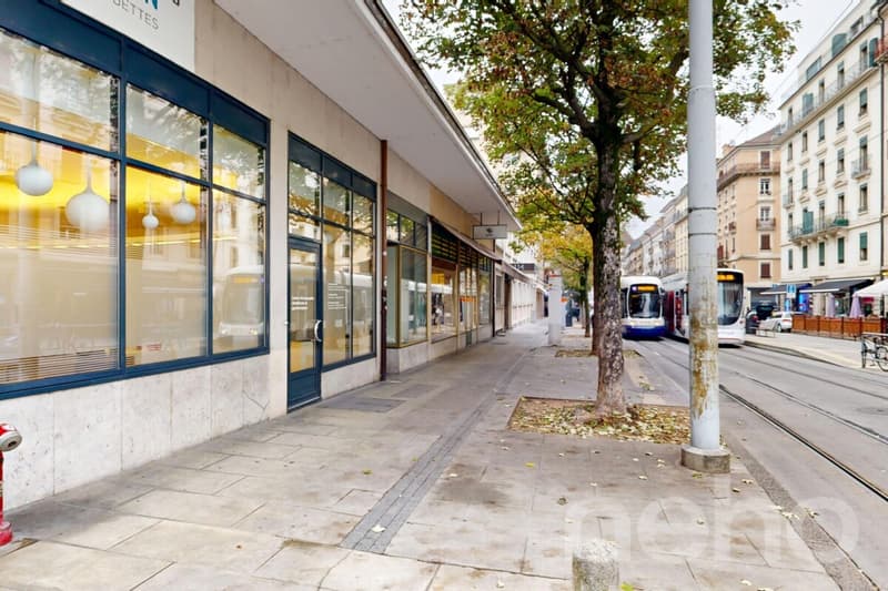 Charmant appartement à deux pas de Carouge (12)