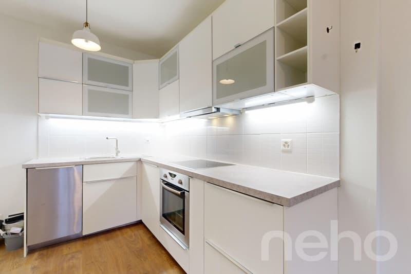 Charmant appartement à deux pas de Carouge (5)