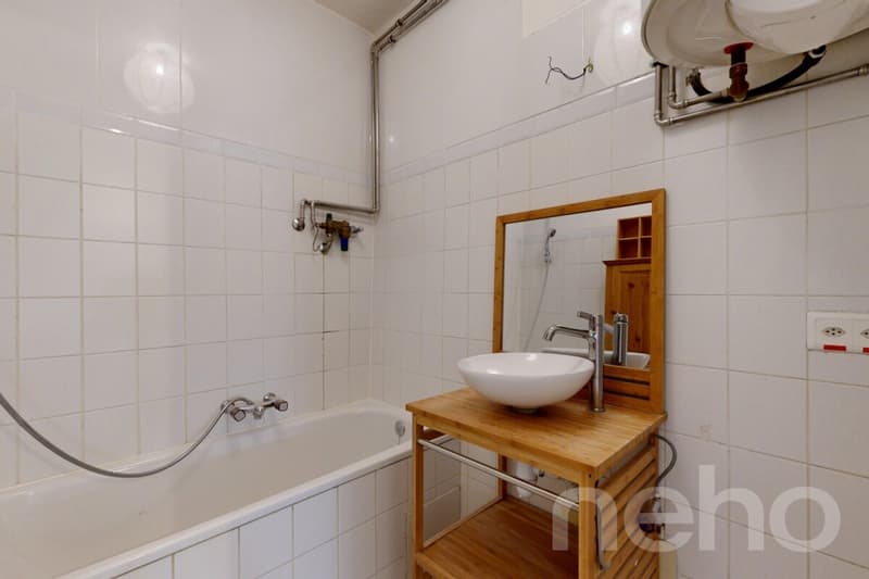 Charmant appartement à deux pas de Carouge (9)