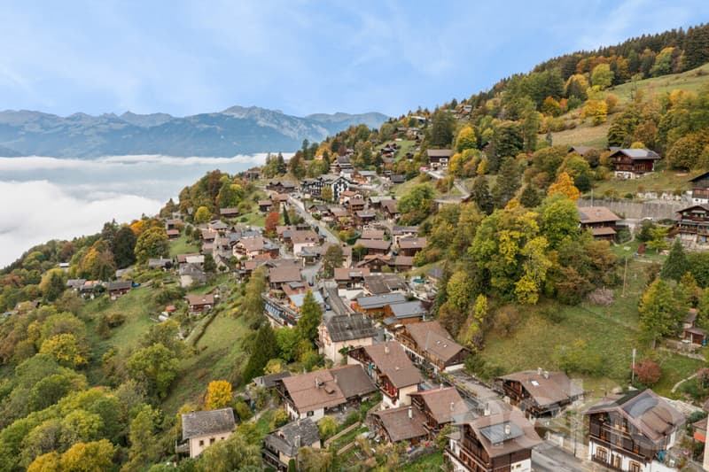 Immeuble au centre de Gryon, fort potentiel pour vos projets (10)