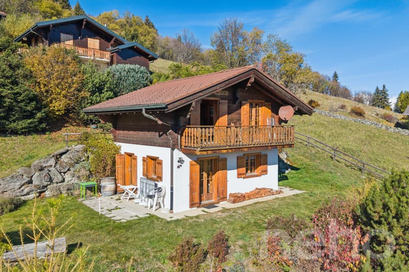 Chalet de montagne en résidence secondaire avec vue idéal pour le ski (5)