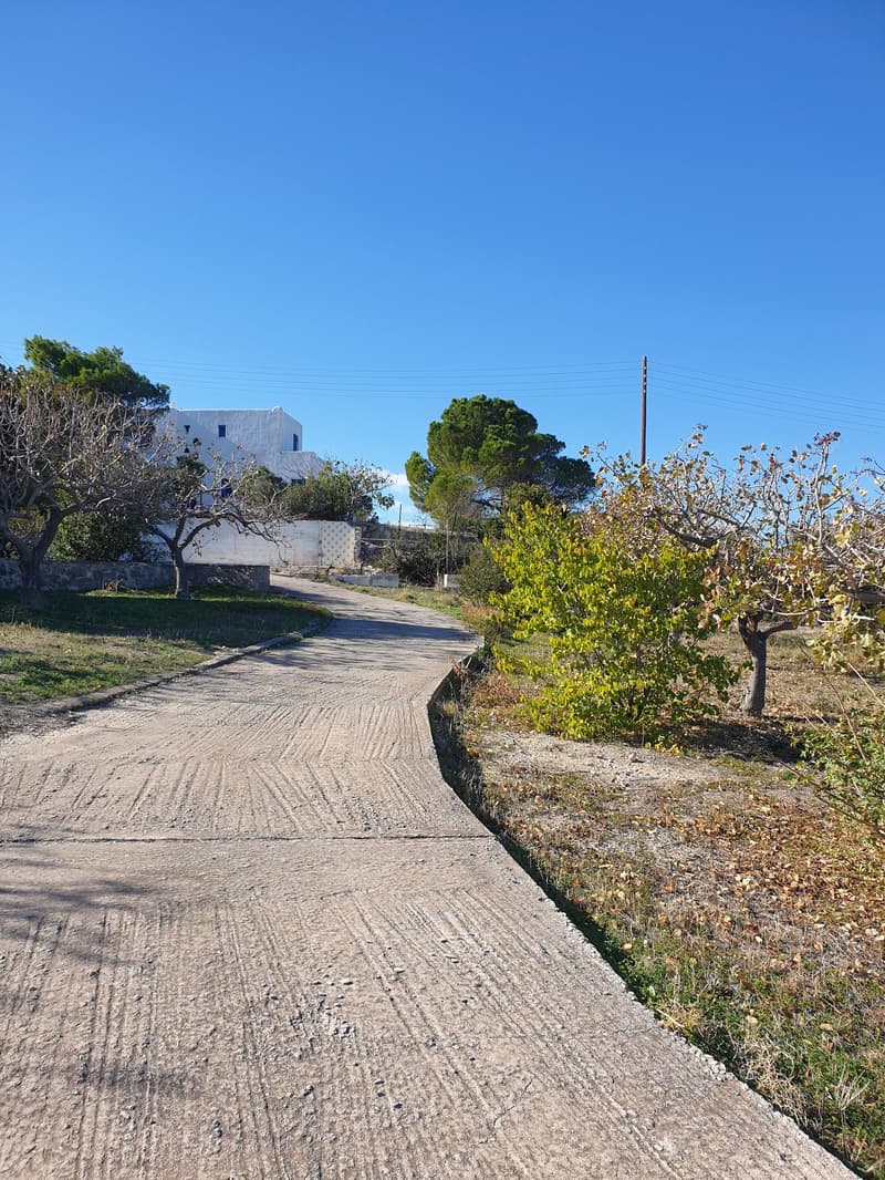 Detached house with breathtaking view and quiet location on the island of Egina (Greece) (8)