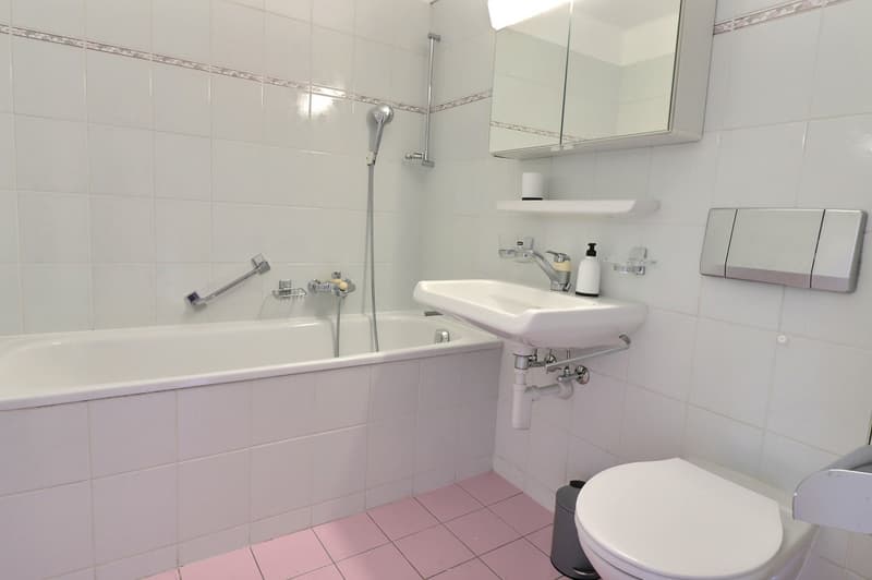 Appartement meublé 2.5 pièces avec balcon et vue imprenable (11)