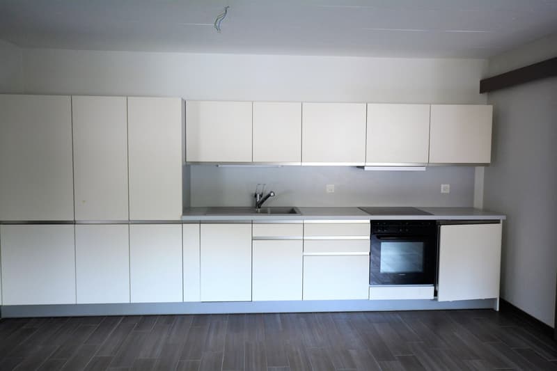Modern, minimalist kitchen with white cabinets, stainless steel appliances, and a built-in dishwasher
