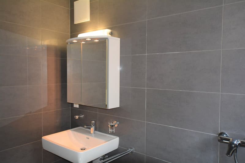 Modern bathroom with gray tile walls, a white vanity with a sink, and a mirrored medicine cabinet above it. The bathroom appears to have a minimalist and clean design.