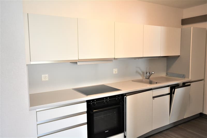 Building with 13 adapted apartments (13)