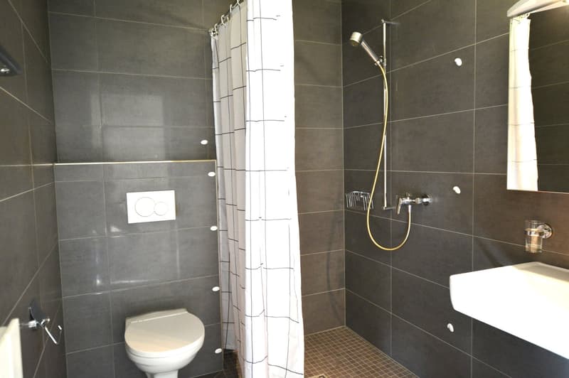 Building with 13 adapted apartments (22)