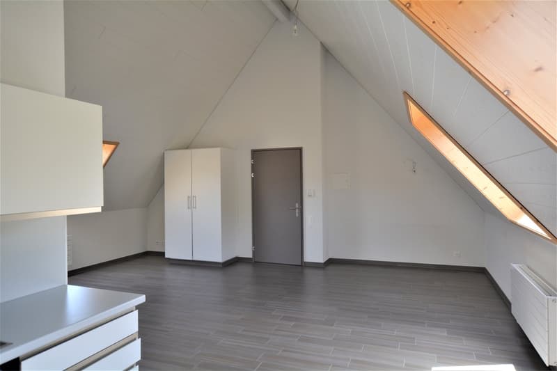 Building with 13 adapted apartments (23)