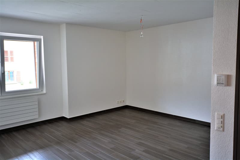 Building with 13 adapted apartments (11)