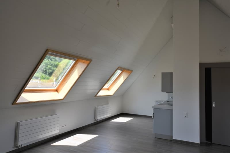 Building with 13 adapted apartments (26)